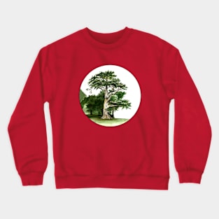 Cypress Tree Watercolor Alamo Square Park San Francisco Crewneck Sweatshirt